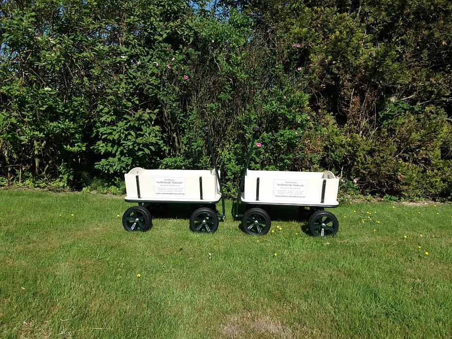 Foto aus der Fotogruppe 