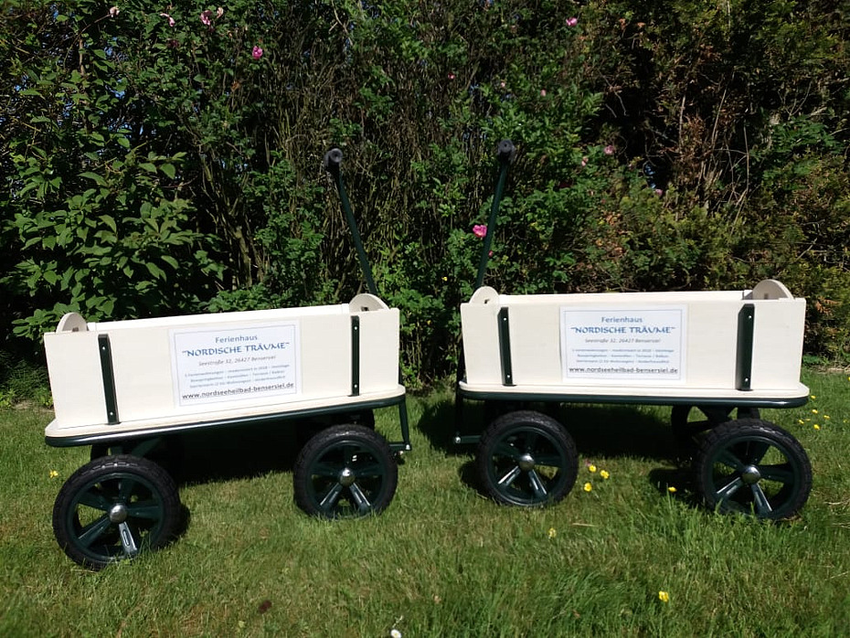 Foto aus der Fotogruppe 