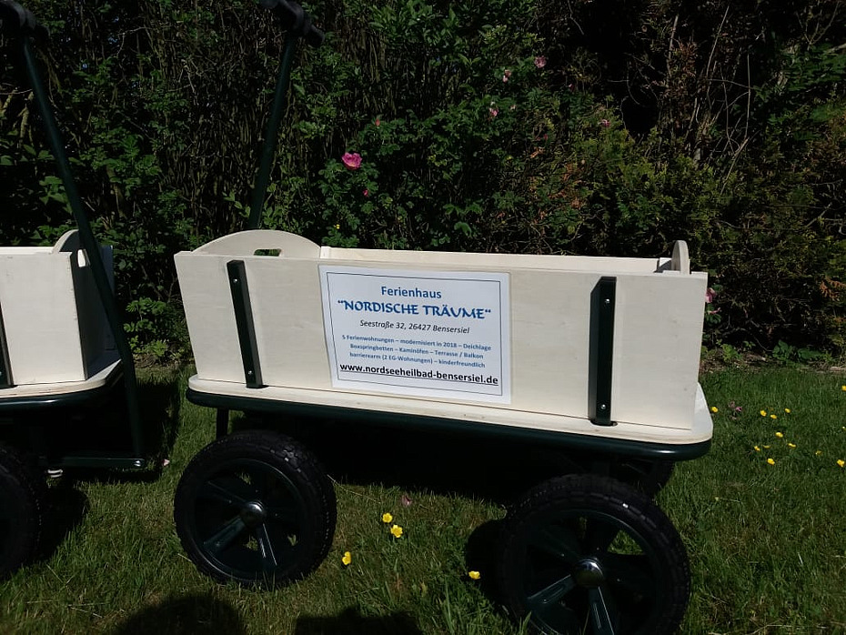 Foto aus der Fotogruppe 